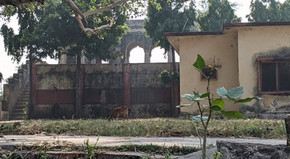 Raja Daldev Dalmau Fort, India